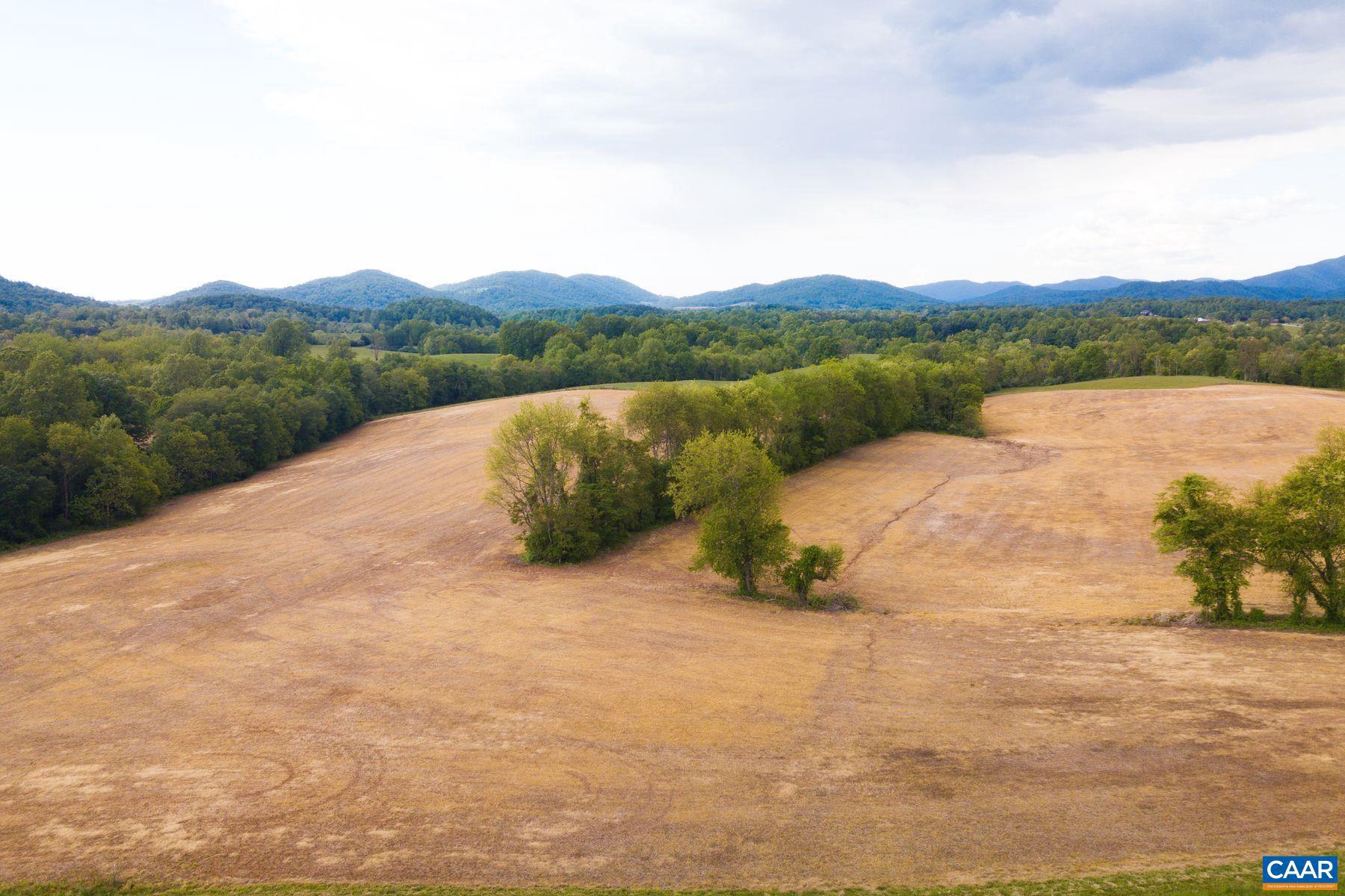 Tbd Tbd Fort Valley Road Sperryville, VA 22740 - Photo 2 of 35