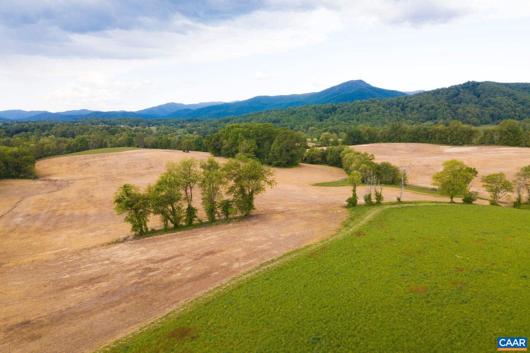 Tbd Tbd Fort Valley Road Sperryville, VA 22740 - Photo 3 of 35