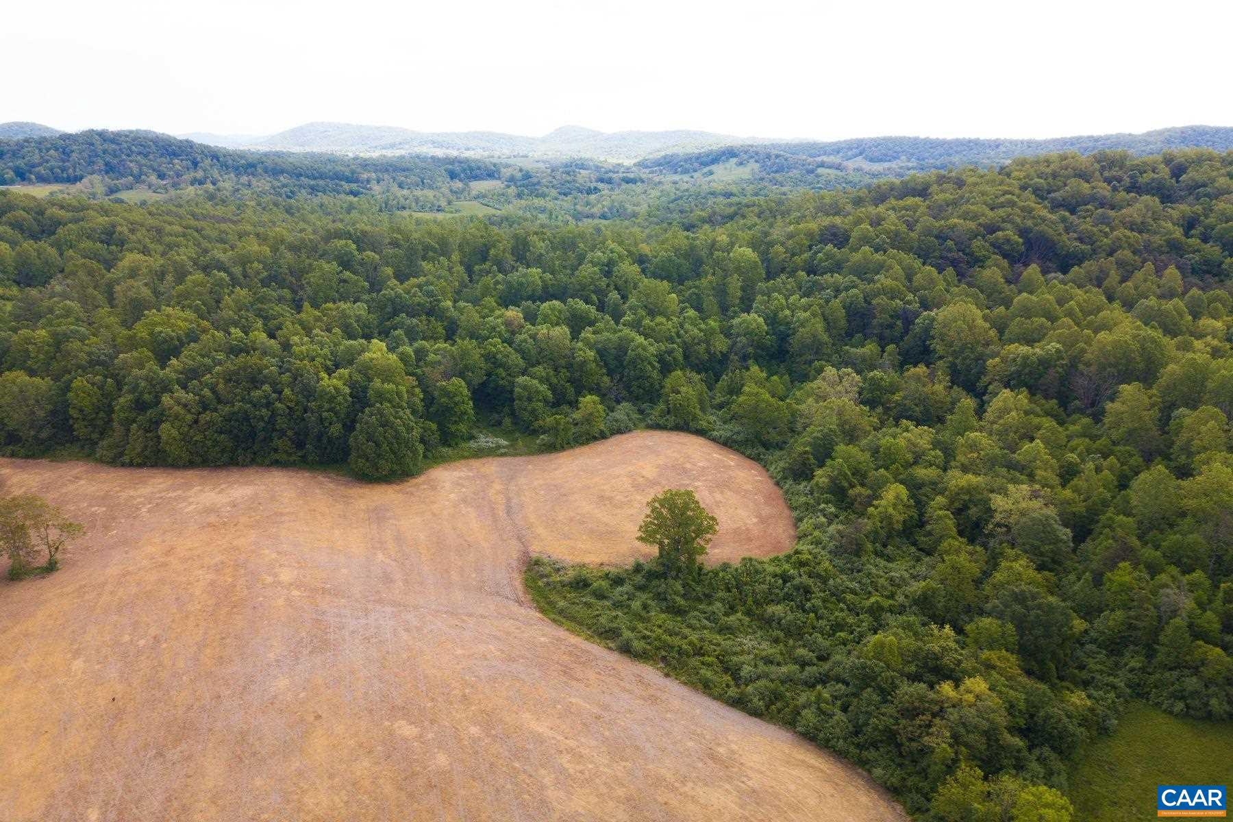 Tbd Tbd Fort Valley Road Sperryville, VA 22740 - Photo 21 of 35