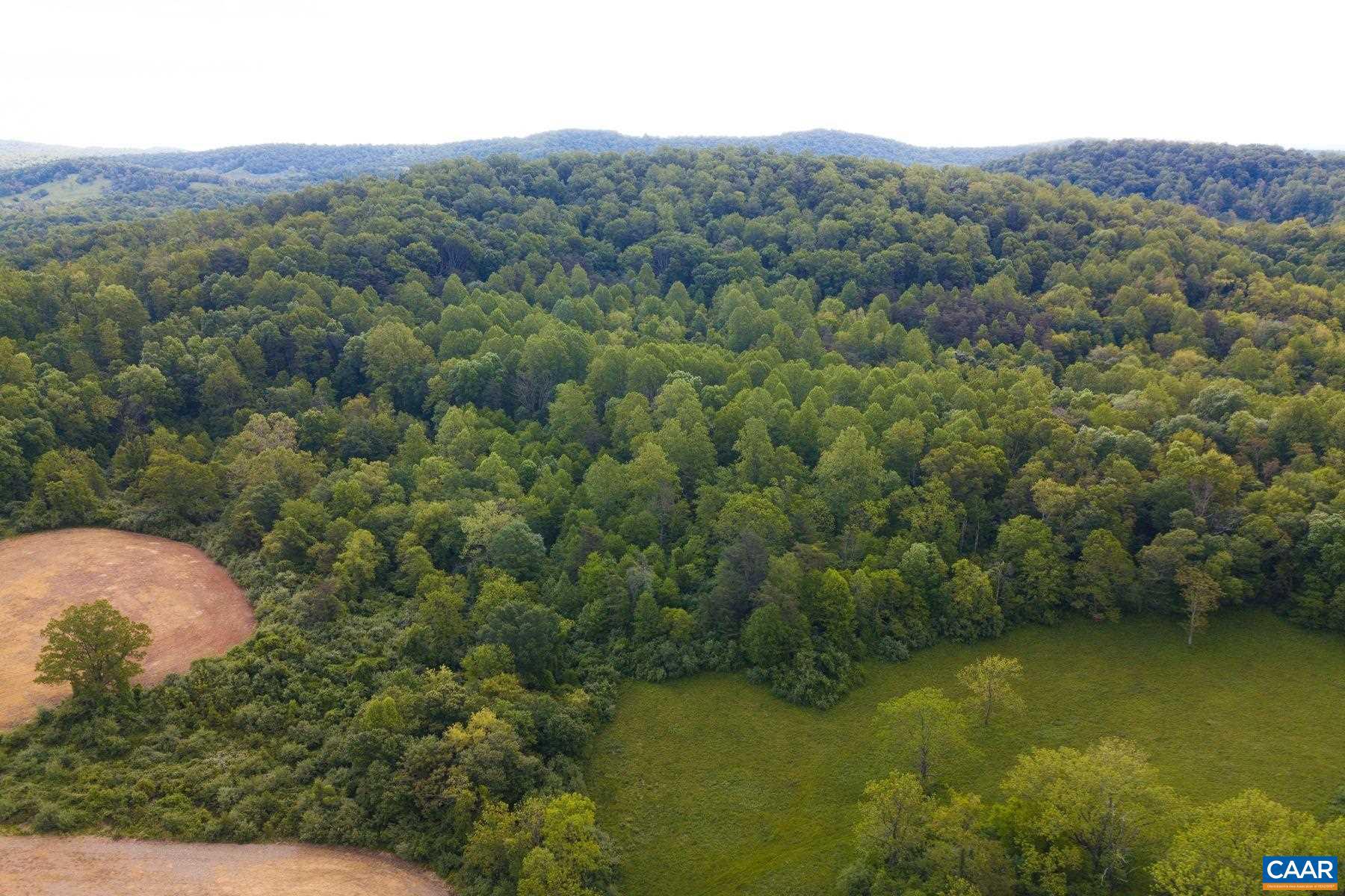 Tbd Tbd Fort Valley Road Sperryville, VA 22740 - Photo 22 of 35