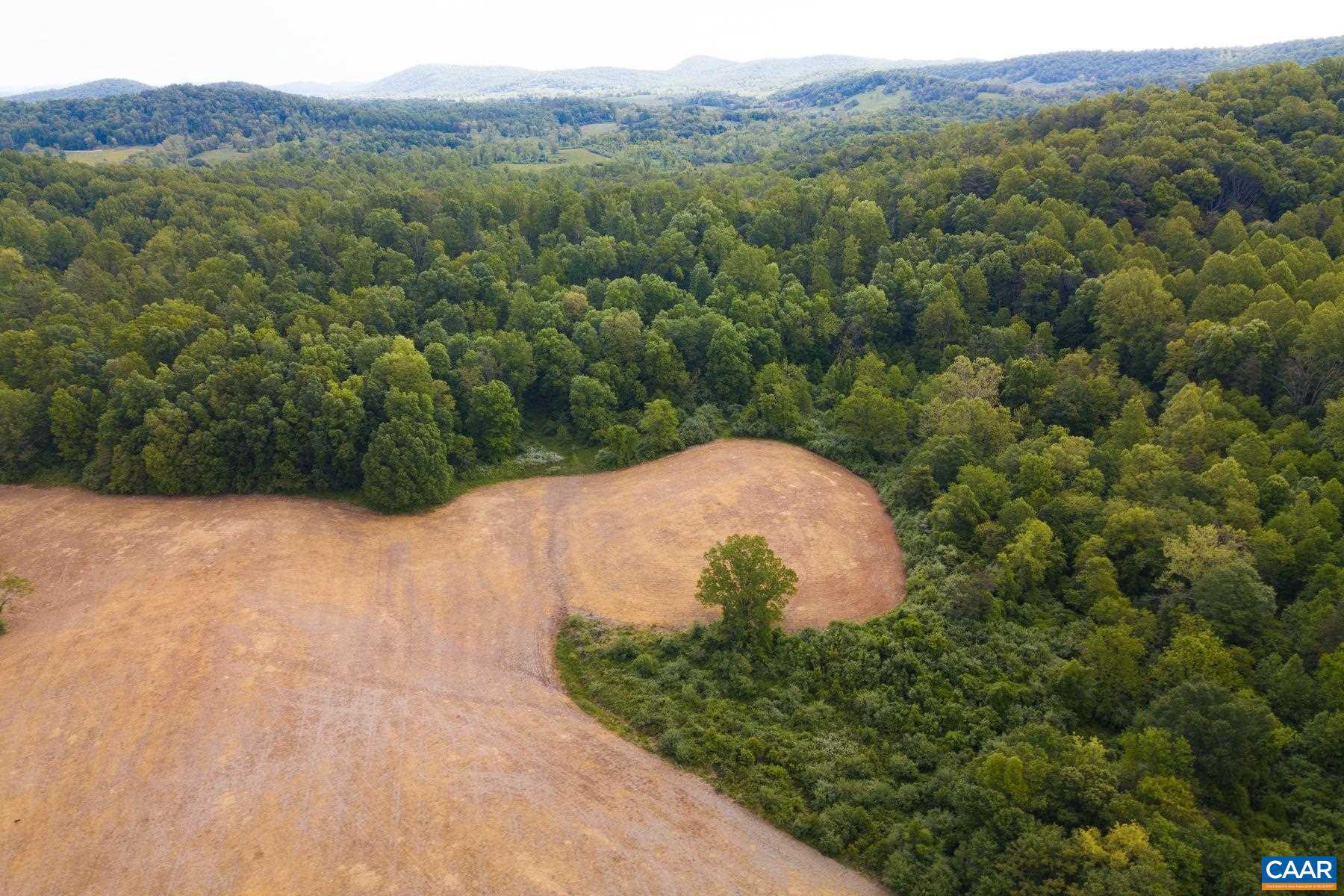 Tbd Tbd Fort Valley Road Sperryville, VA 22740 - Photo 23 of 35