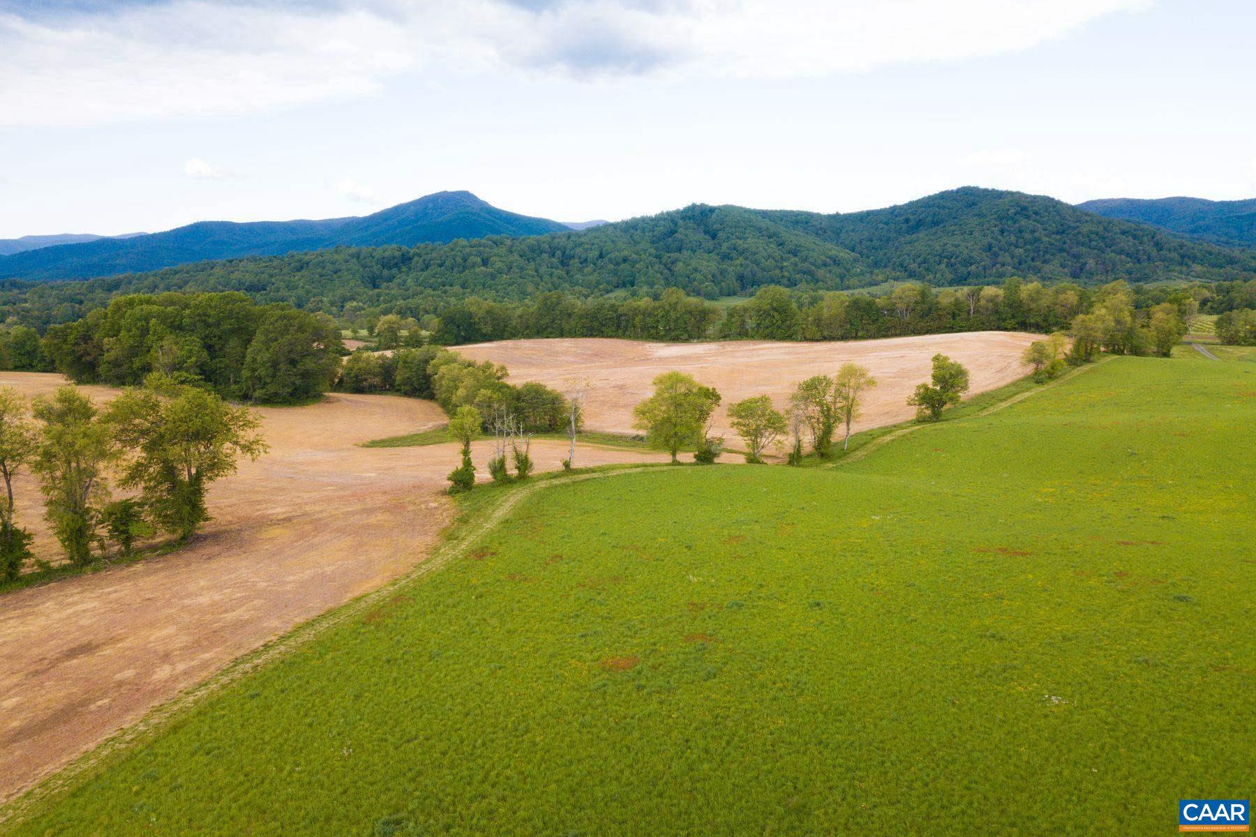 Tbd Tbd Fort Valley Road Sperryville, VA 22740 - Photo 4 of 35