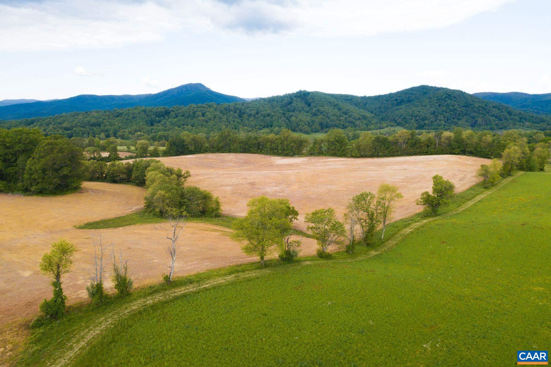 Tbd Tbd Fort Valley Road Sperryville, VA 22740 - Photo 5 of 35