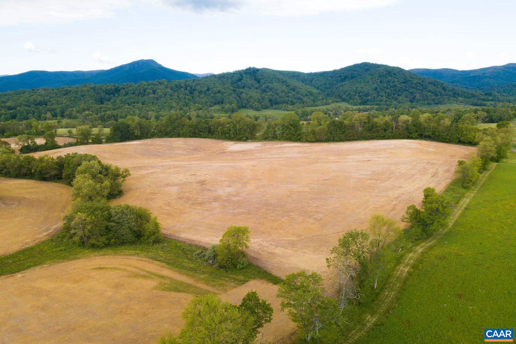 Tbd Tbd Fort Valley Road Sperryville, VA 22740 - Photo 6 of 35