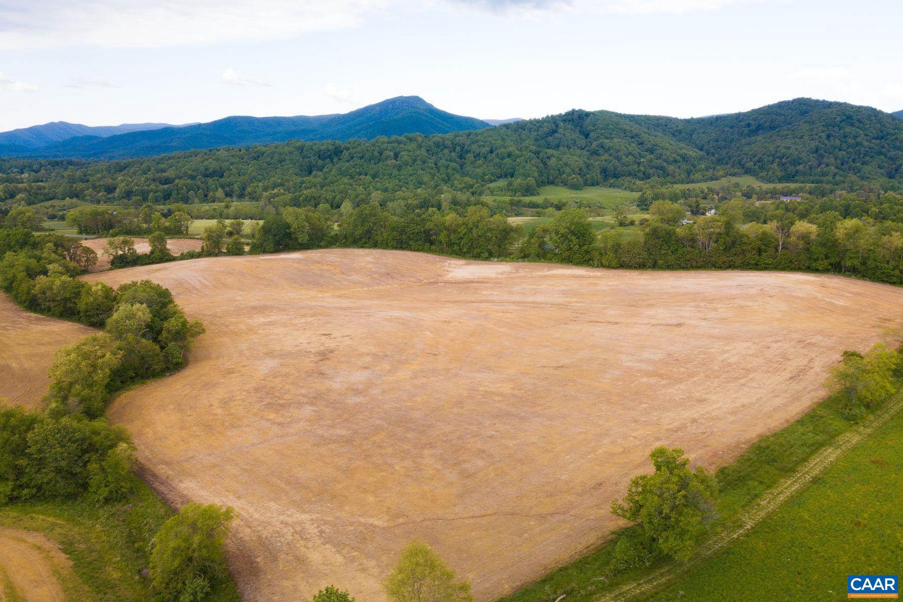 Tbd Tbd Fort Valley Road Sperryville, VA 22740 - Photo 7 of 35