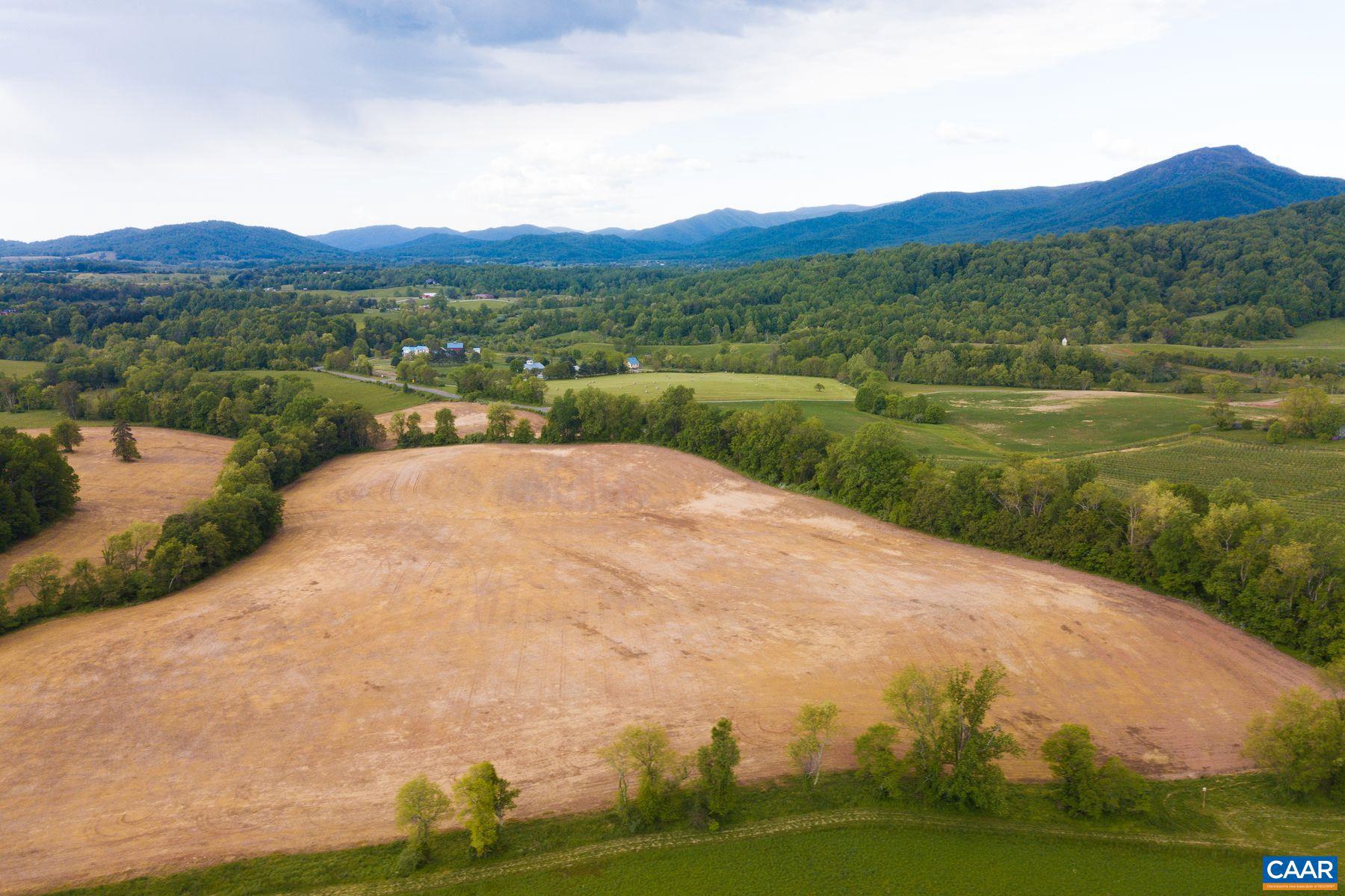 Tbd Tbd Fort Valley Road Sperryville, VA 22740 - Photo 9 of 35