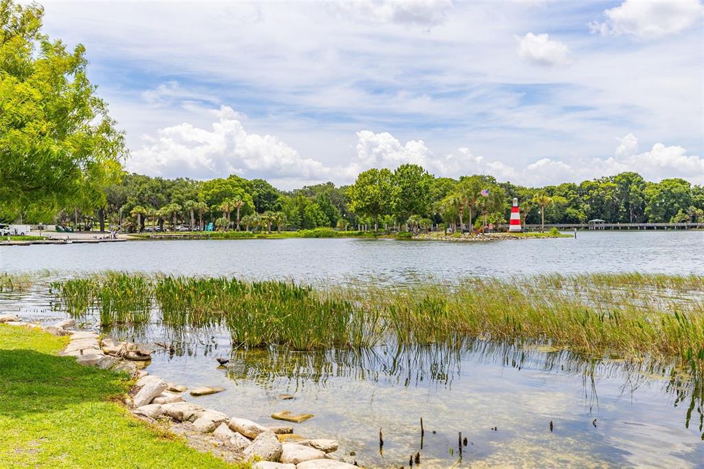 367 August Fern Loop Mount Dora, FL 32757 - Photo 70 of 90