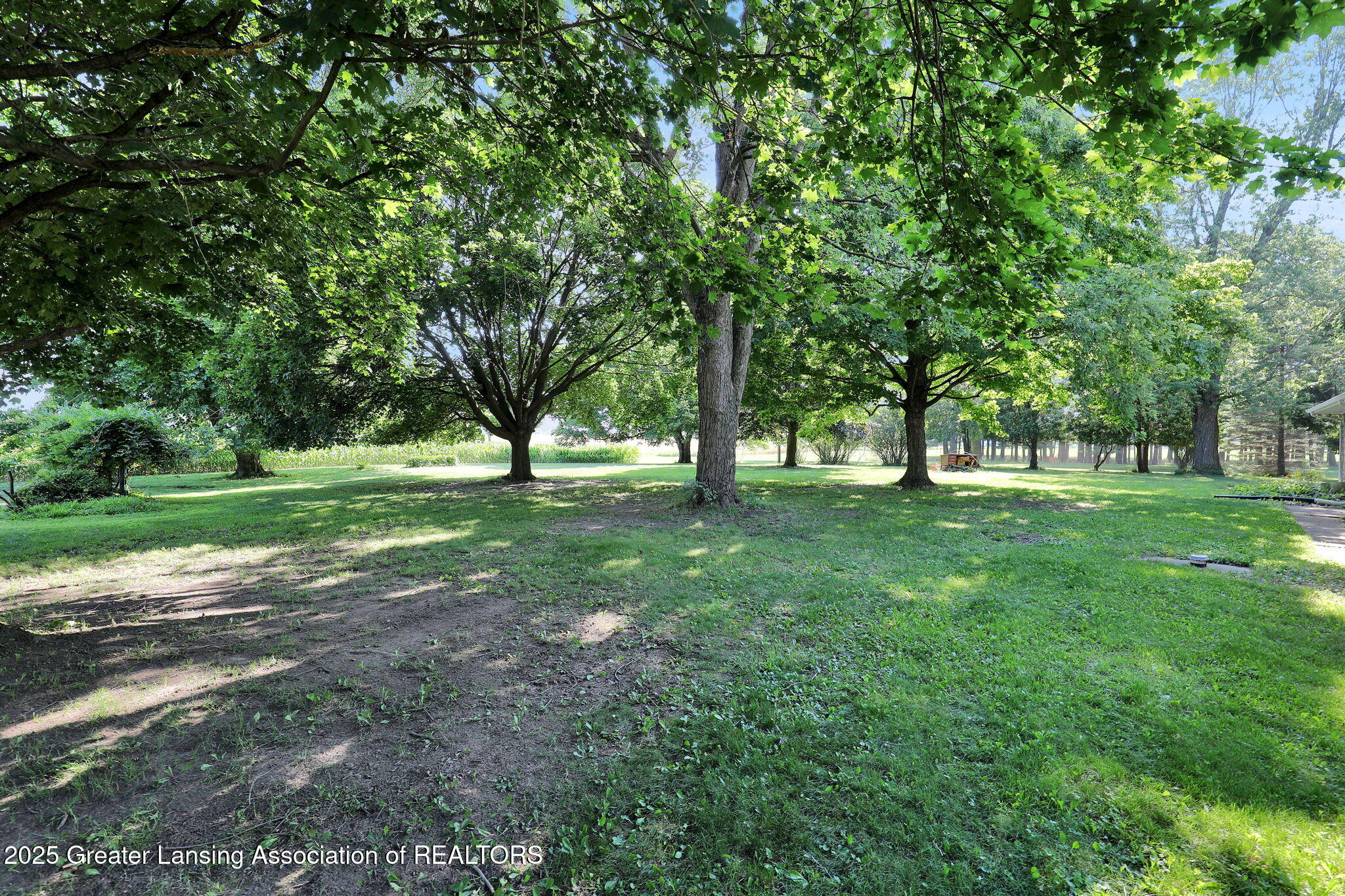 9850 Looking Glass Road Portland, MI 48875 - Photo 31 of 41 4-web-or-mls-Open Ended Media-4 (11)