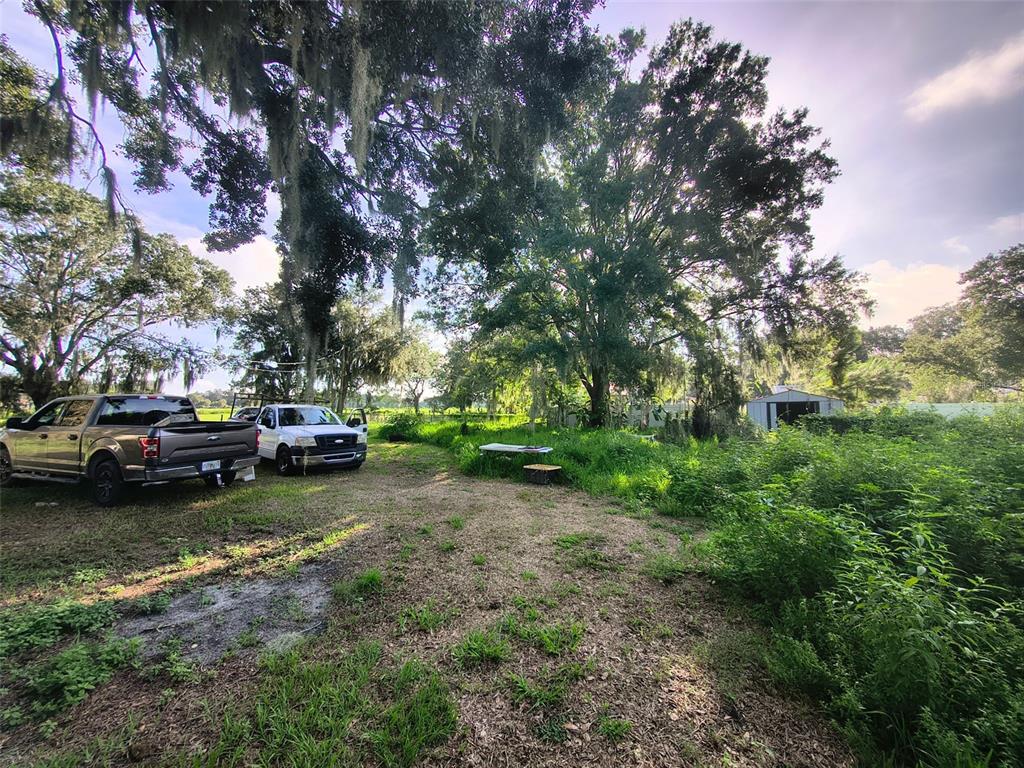 3609 Maxwell Road Plant City, FL 33566 - Photo 11 of 33 Gallery Image 11