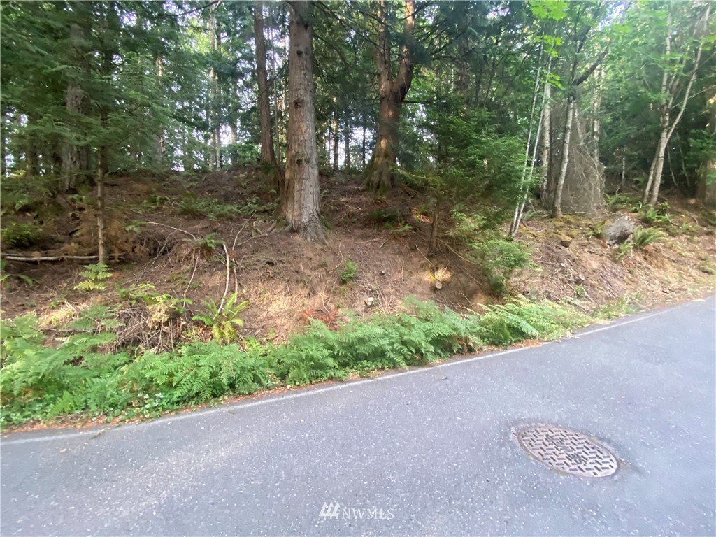 39 Stable Lane Bellingham, WA 98229 - Photo 1 of 13 Gallery Image 1