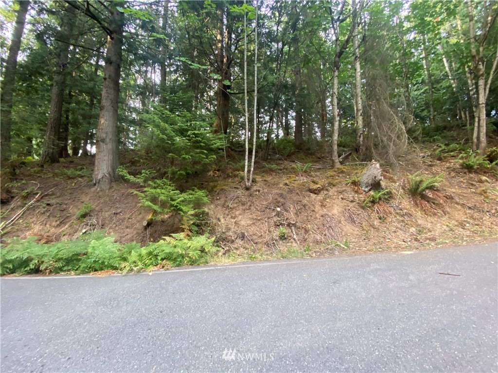 39 Stable Lane Bellingham, WA 98229 - Photo 2 of 13 Gallery Image 2