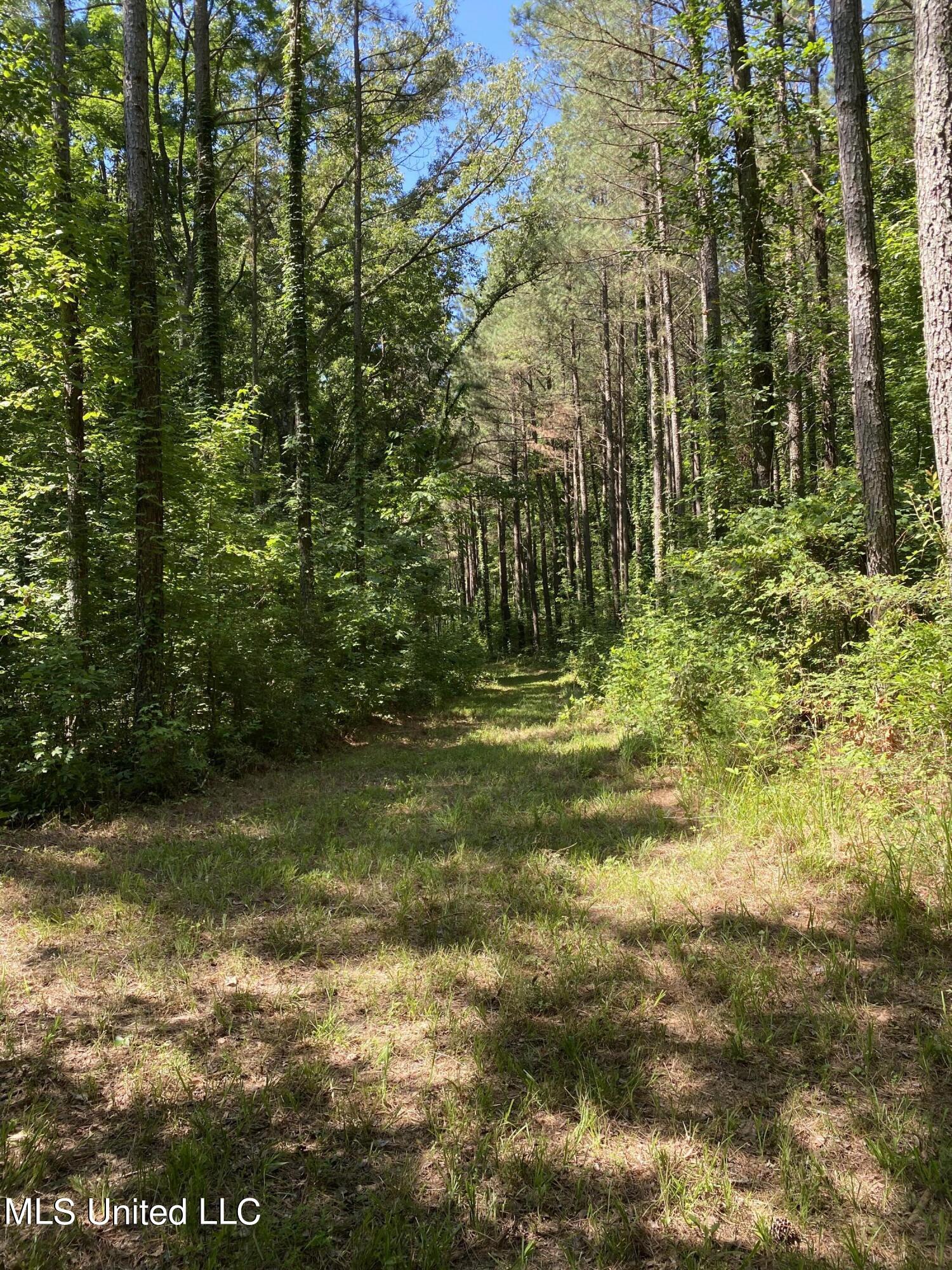 0 Franks Road Coldwater, MS 38618 - Photo 9 of 11 2022-06-20 10.40.29