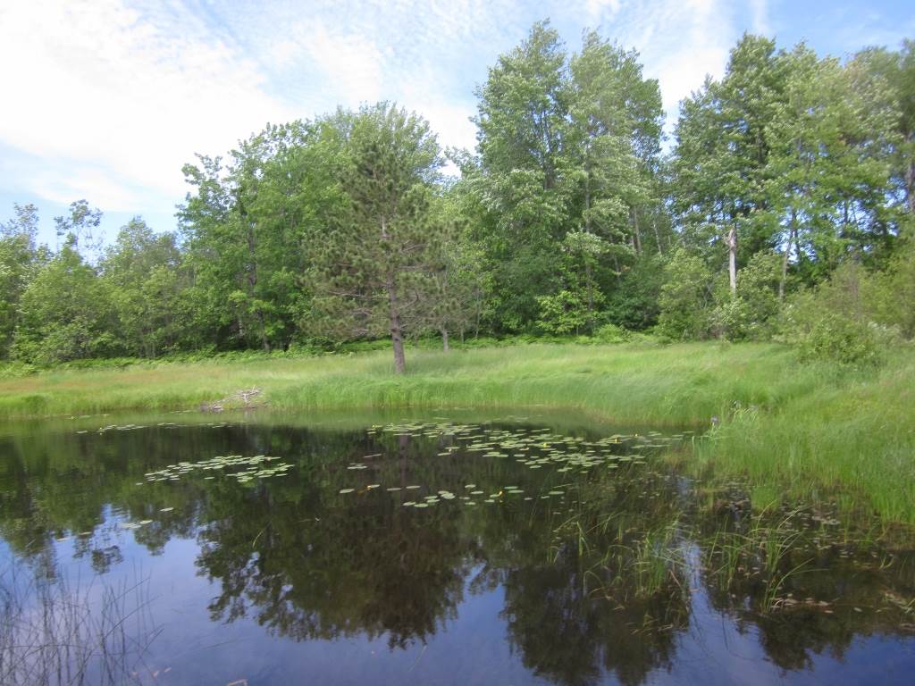 5117 Sunset Trail Road Northeast Kalkaska, MI 49646 - Photo 18 of 35 1829406-17.JPG