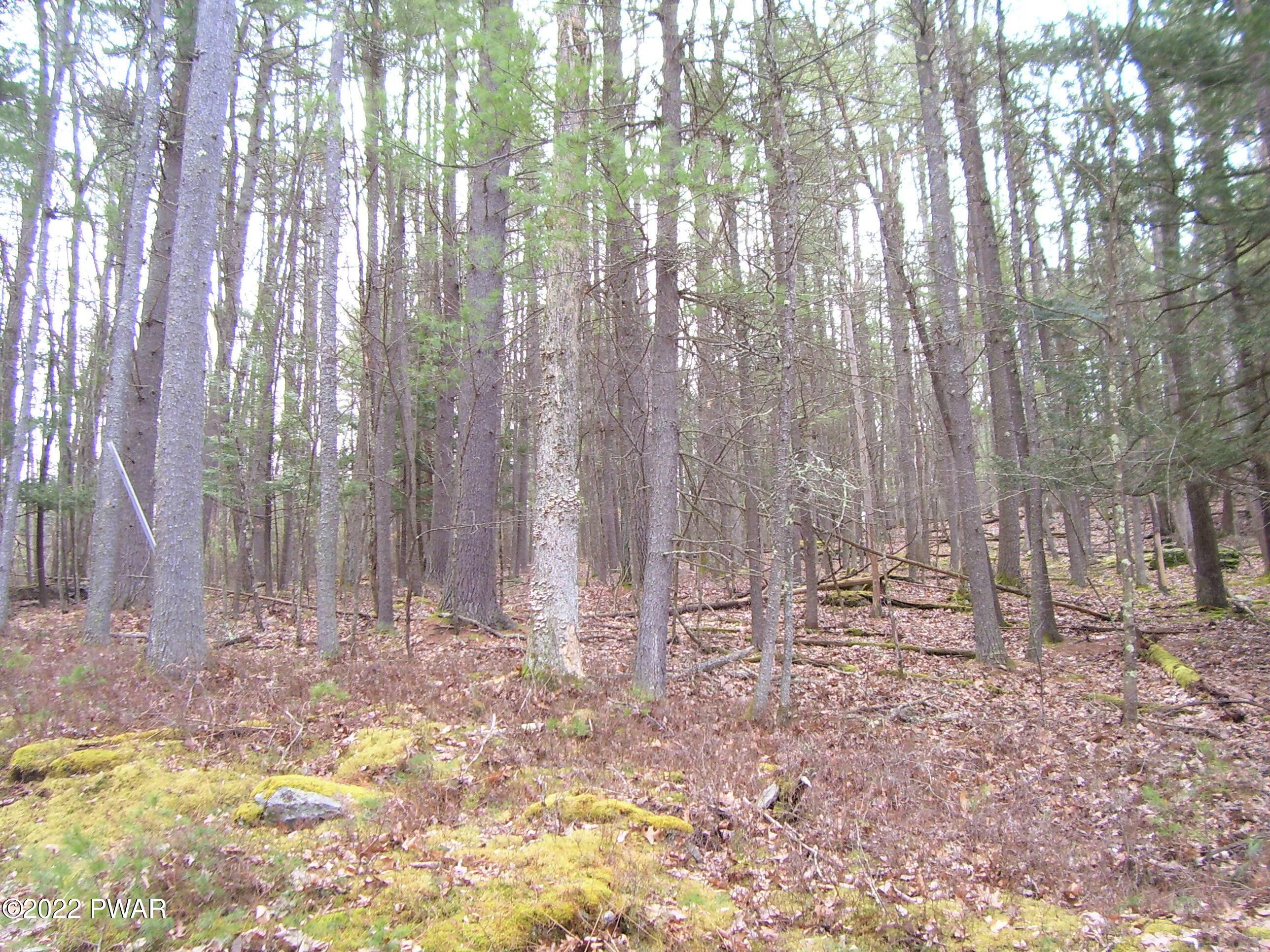 Lot 402 Creek Road Hawley, PA 18428 - Photo 3 of 17