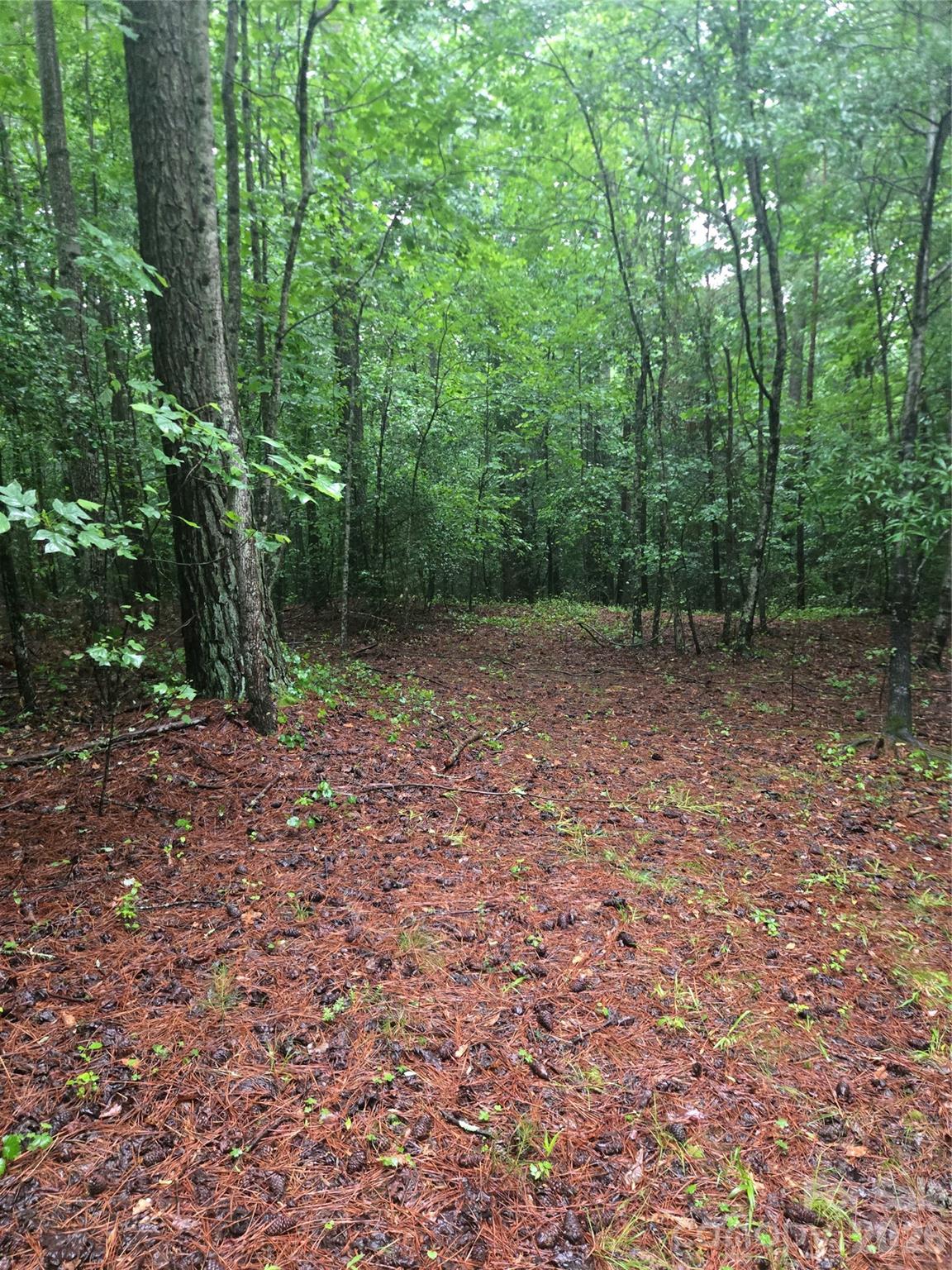 0 Mooresboro Road Mooresboro, NC 28114 - Photo 10 of 17 a view of a yard with trees in the background