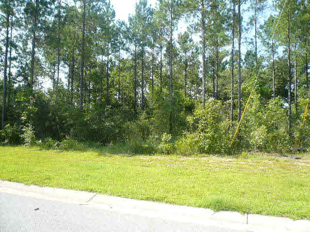 0 Cayden Circle Stapleton, AL 36578 - Photo 1 of 1