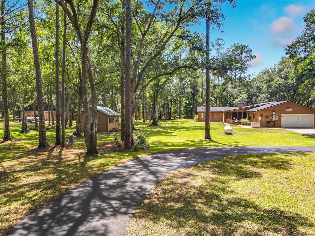 1395 Maytown Road Osteen, FL 32764 - Photo 51 of 65 a view of a swimming pool with a big yard and large trees