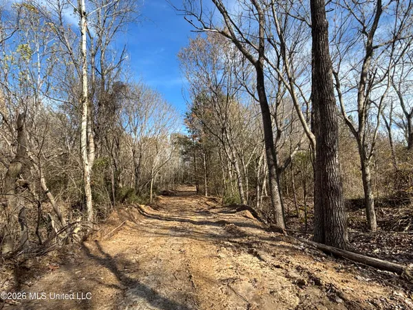 $668,000 | 49 East U Street South, Bentonia, MS 39040