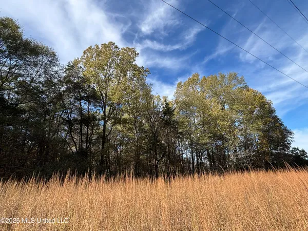 $668,000 | 49 East U Street South, Bentonia, MS 39040
