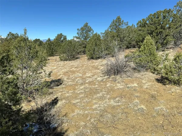 a view of a field