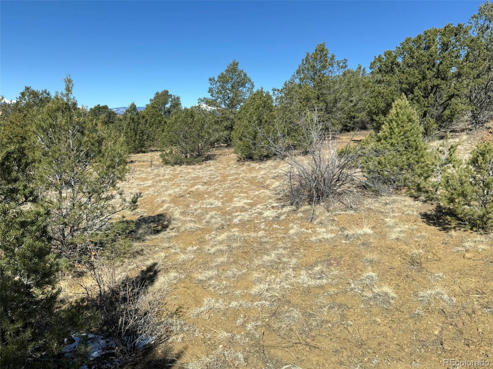12222 Elk Run Road Trinidad, CO 81082 - Photo 18 of 29