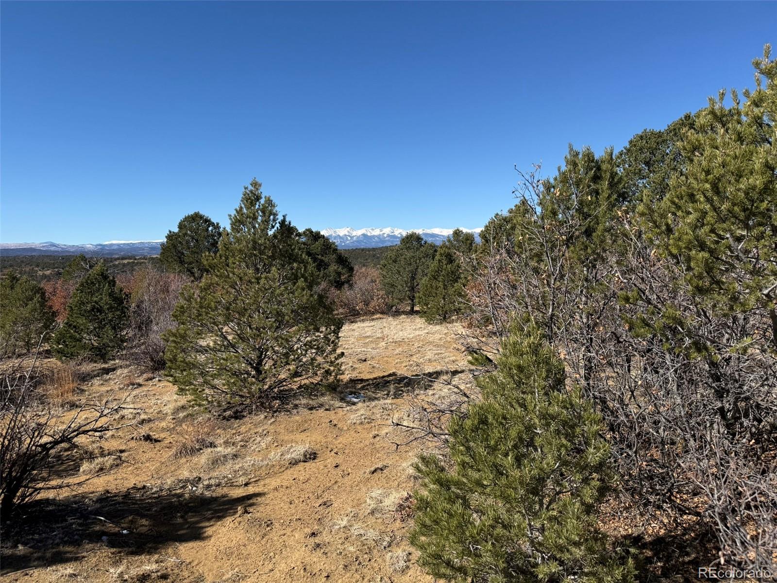 12222 Elk Run Road Trinidad, CO 81082 - Photo 19 of 29