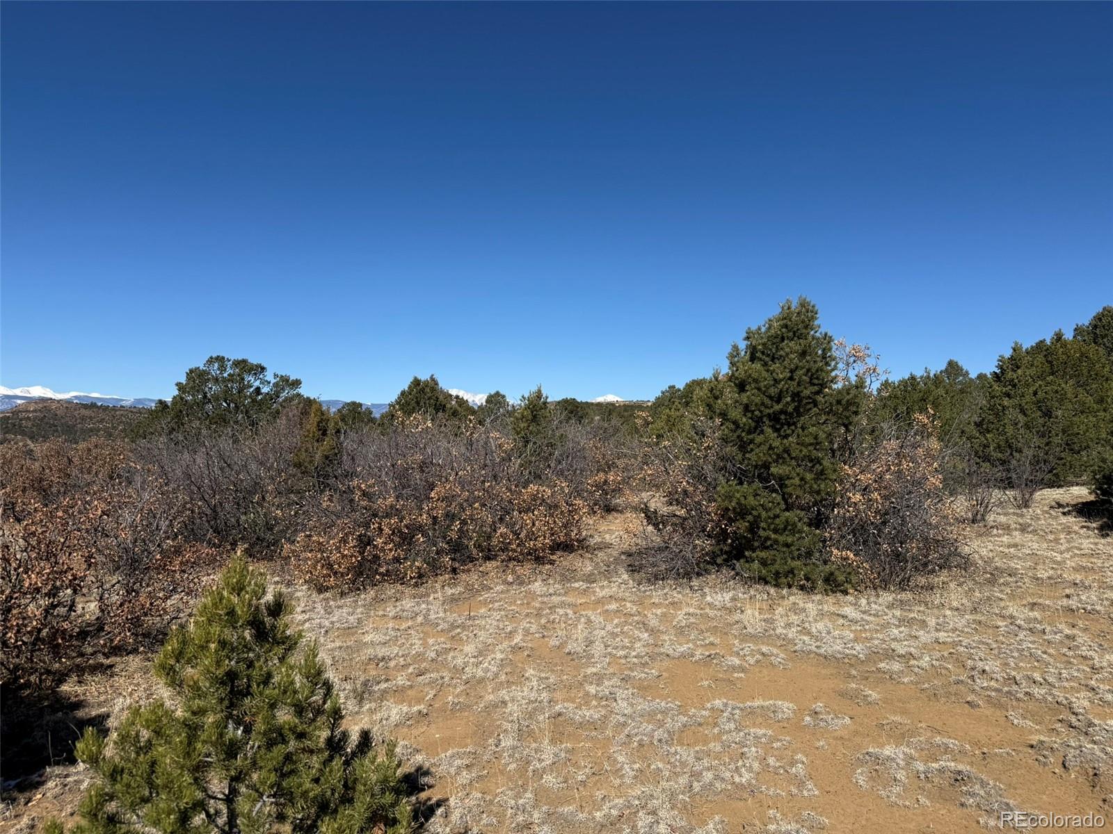 12222 Elk Run Road Trinidad, CO 81082 - Photo 21 of 29