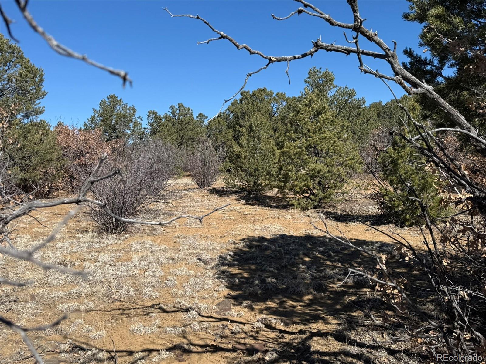 12222 Elk Run Road Trinidad, CO 81082 - Photo 23 of 29