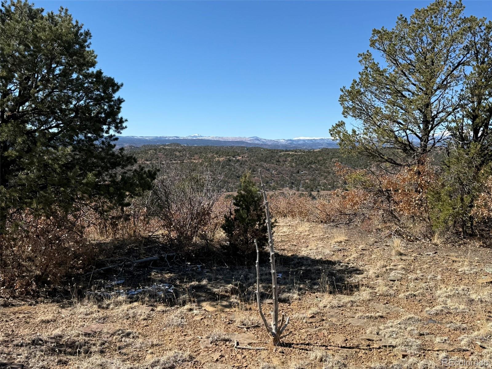 12222 Elk Run Road Trinidad, CO 81082 - Photo 24 of 29