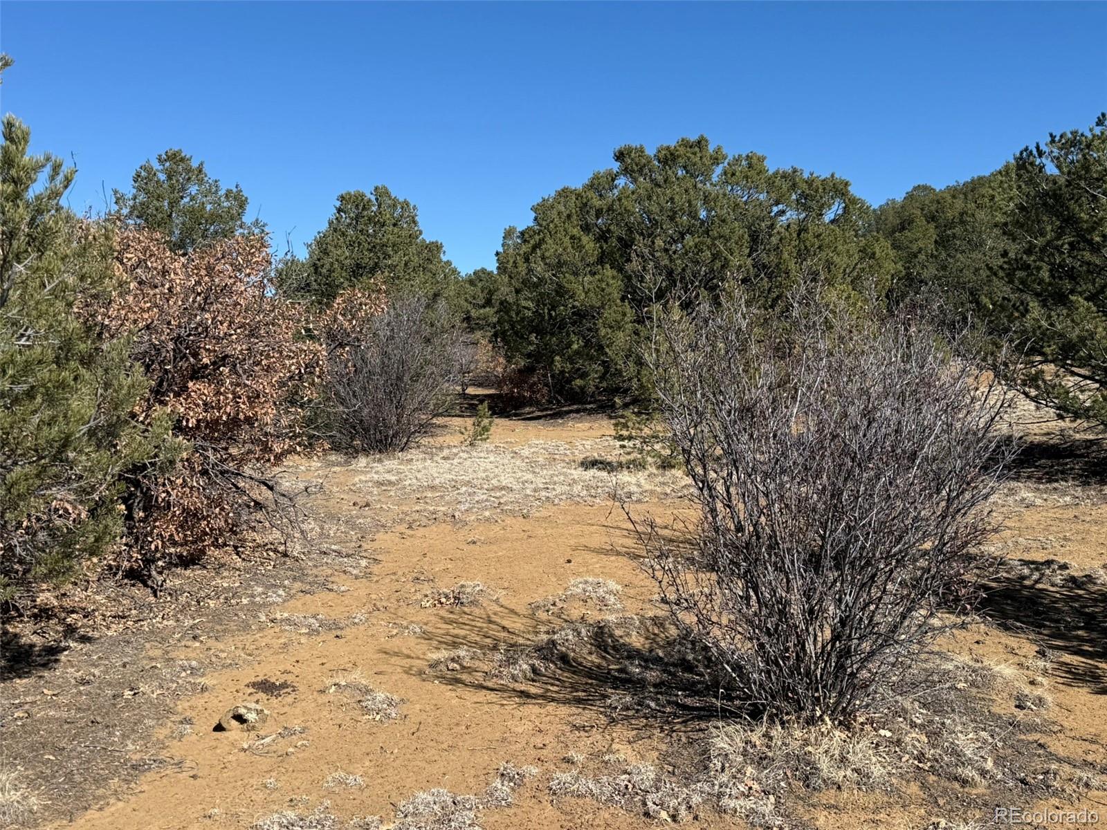 12222 Elk Run Road Trinidad, CO 81082 - Photo 25 of 29