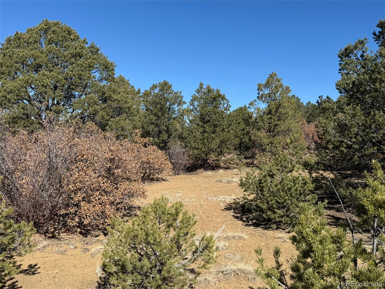 12222 Elk Run Road Trinidad, CO 81082 - Photo 26 of 29