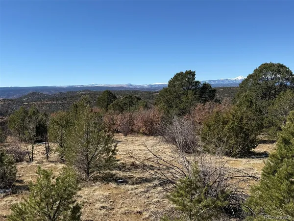 a view of a dirt yard with a tree