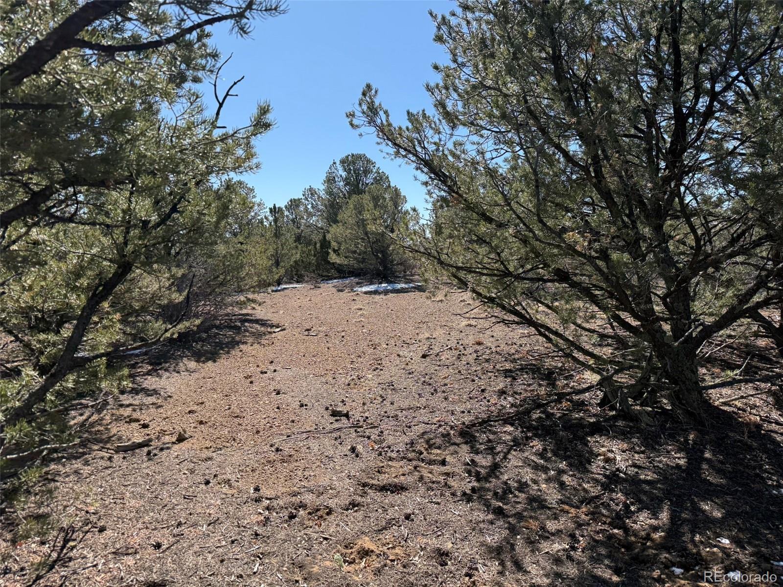 12222 Elk Run Road Trinidad, CO 81082 - Photo 28 of 29