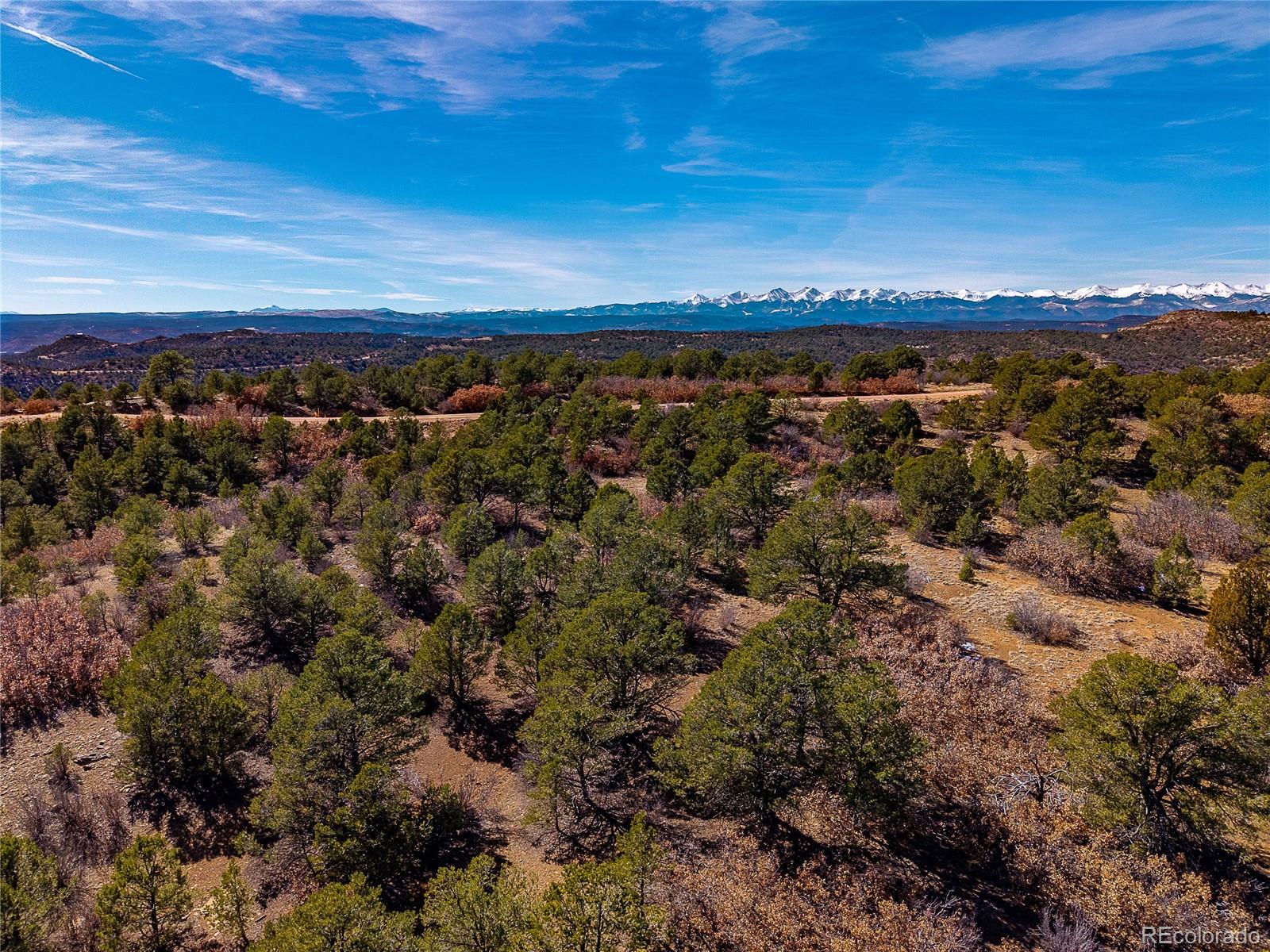 12222 Elk Run Road Trinidad, CO 81082 - Photo 10 of 29