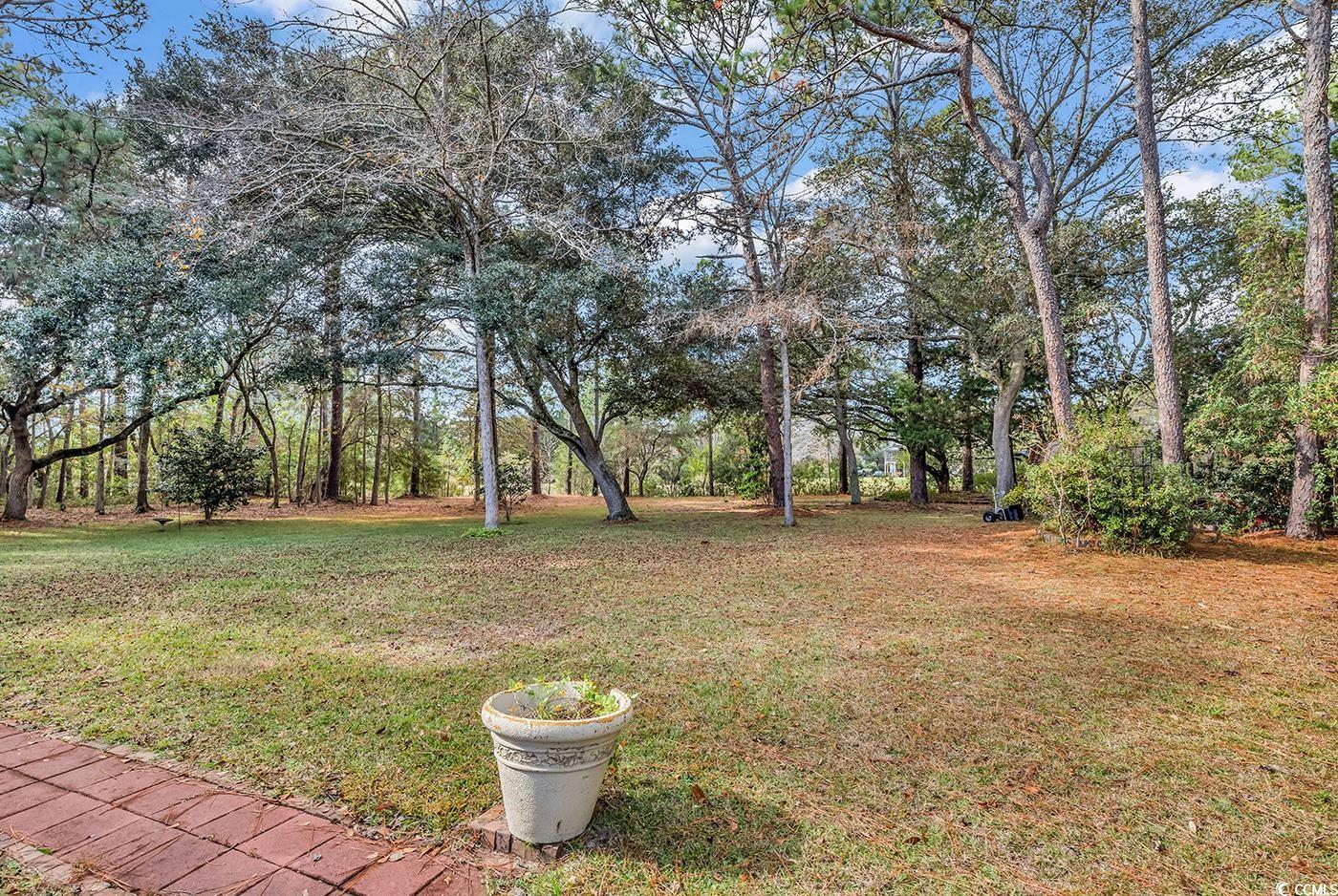 447 Kings River Road Pawleys Island, SC 29585 - Photo 35 of 40 Gallery Image 35
