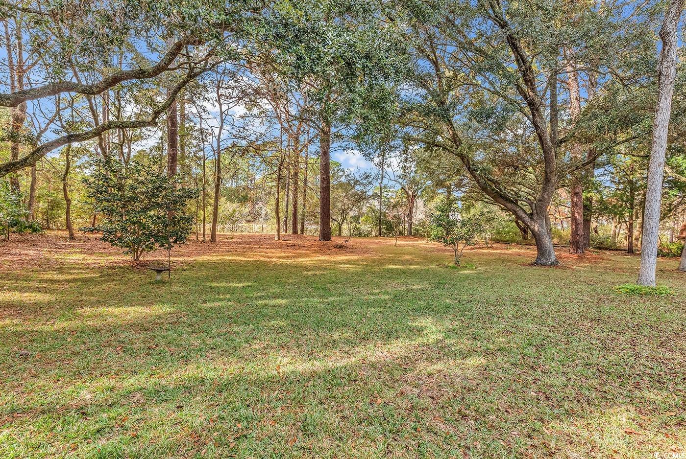 447 Kings River Road Pawleys Island, SC 29585 - Photo 36 of 40 Gallery Image 36