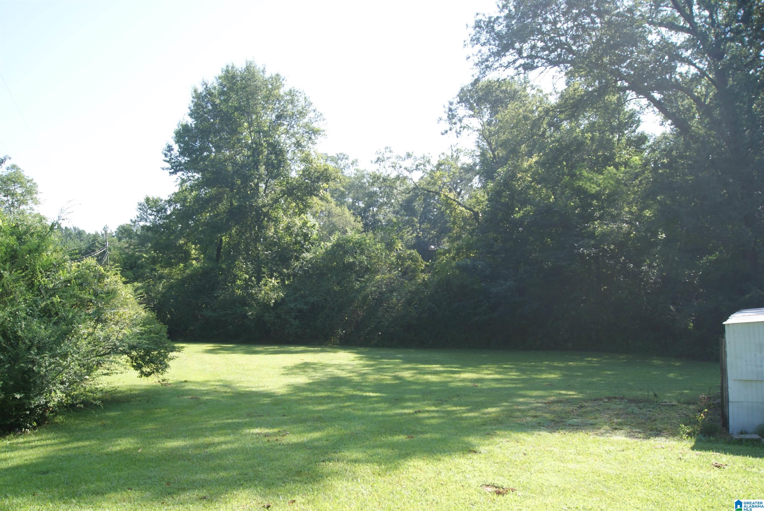 5900 Snowville Brent Road Dora, AL 35062 - Photo 11 of 27