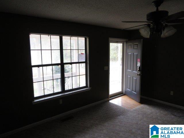 250 Birch Tree Road Hayden, AL 35079 - Photo 11 of 25