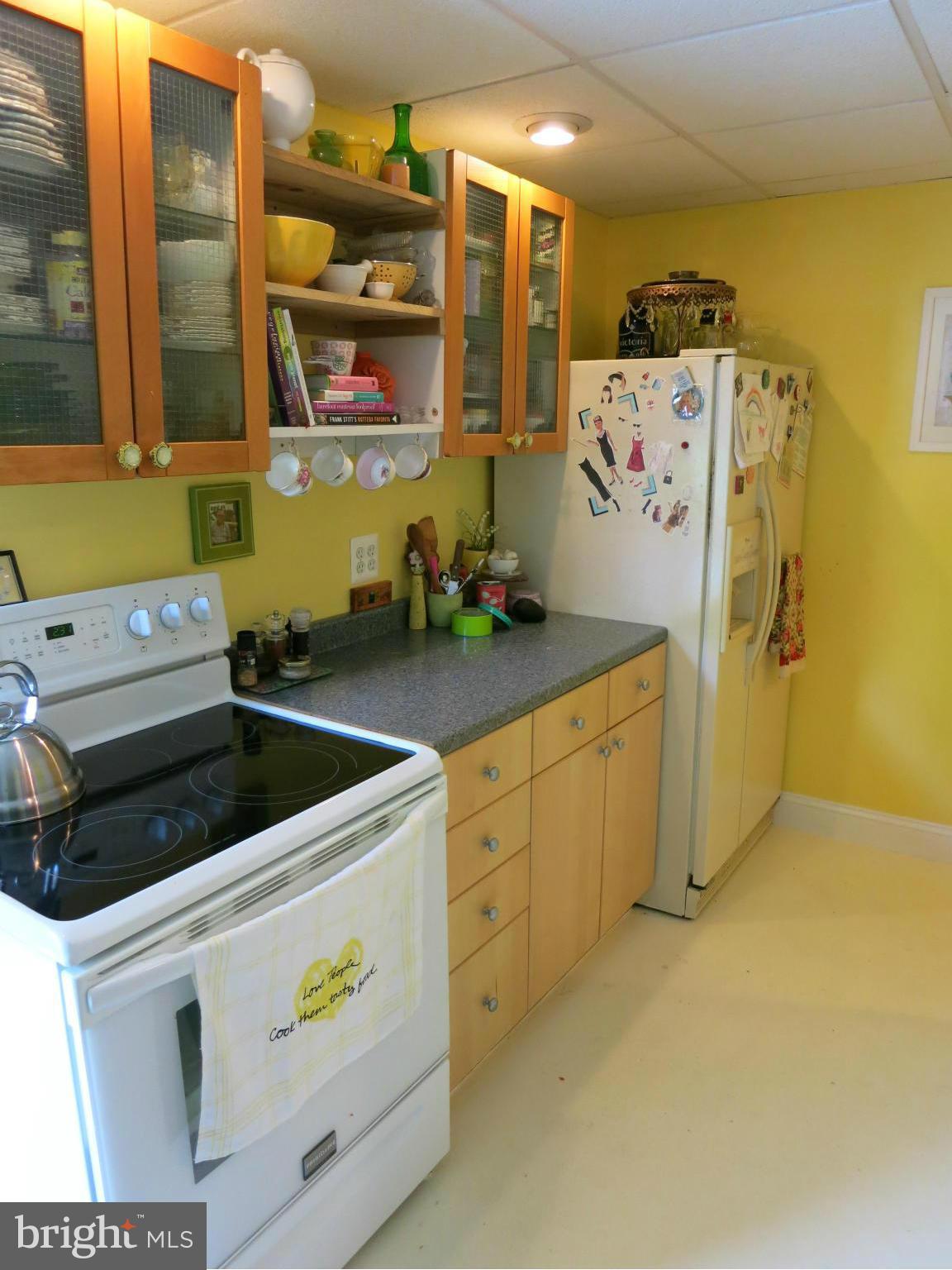 3802 Church Road Ellicott City, MD 21043 - Photo 22 of 30 Basement
