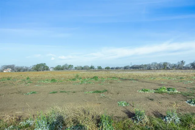 a view of a field with an ocean