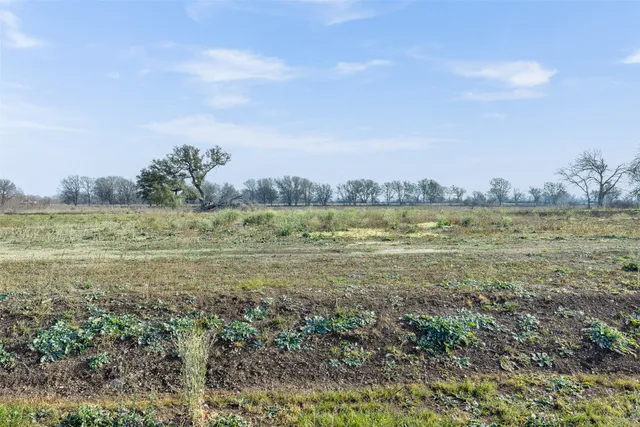 a view of wall paintings