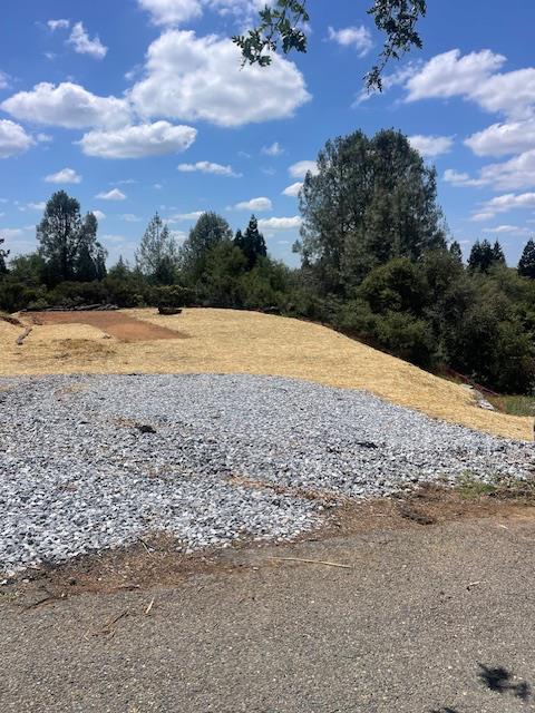 3450 Sudbury Road Cameron Park, CA 95682 - Photo 3 of 14 a view of a yard with an ocean