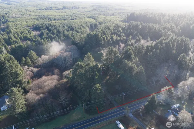 a view of a lot of a yard from a window