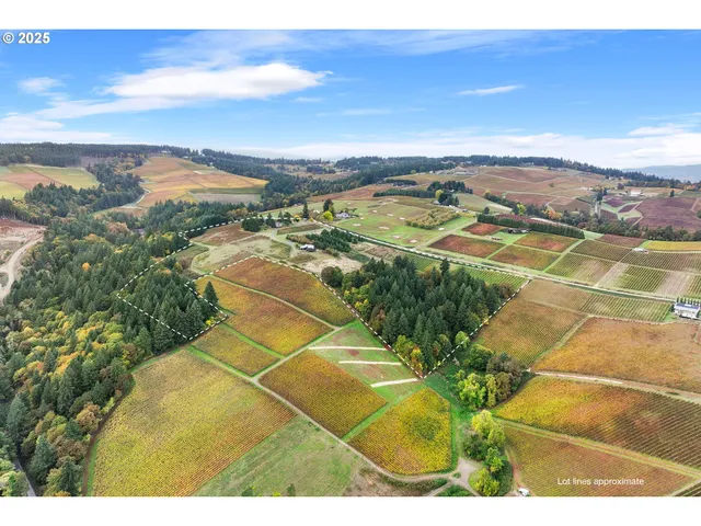 a view of city and ocean