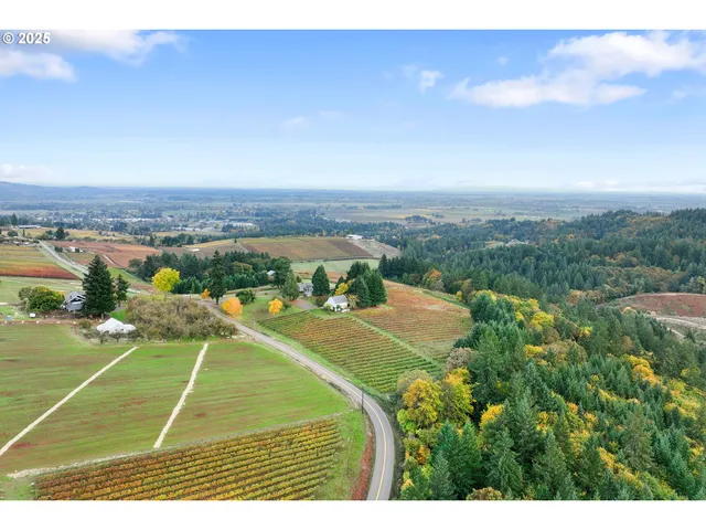 an aerial view of a house with a garden