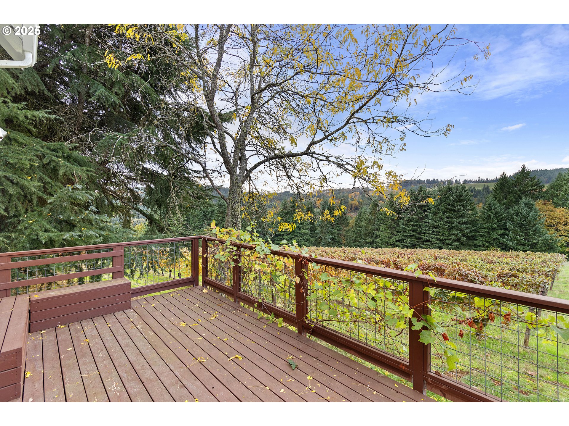 9325 Northeast Worden Hill Road Dundee, OR 97115 - Photo 42 of 48