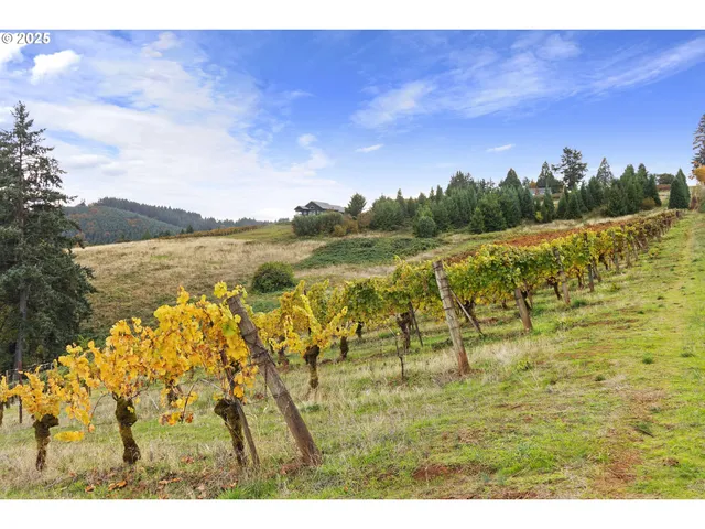 a view of outdoor space and a yard