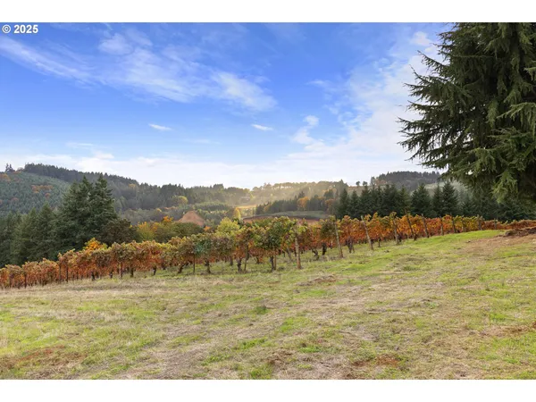 a picture of a bathroom with a sink