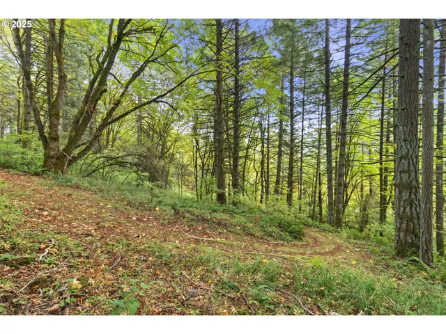 $4,995,000 | 9325 Northeast Worden Hill Road, Dundee, OR 97115