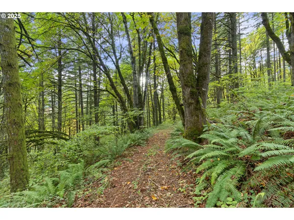 $4,450,000 | 9325 Northeast Worden Hill Road, Dundee, OR 97115